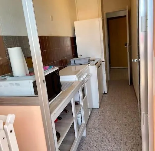 Plein Centre Appartement